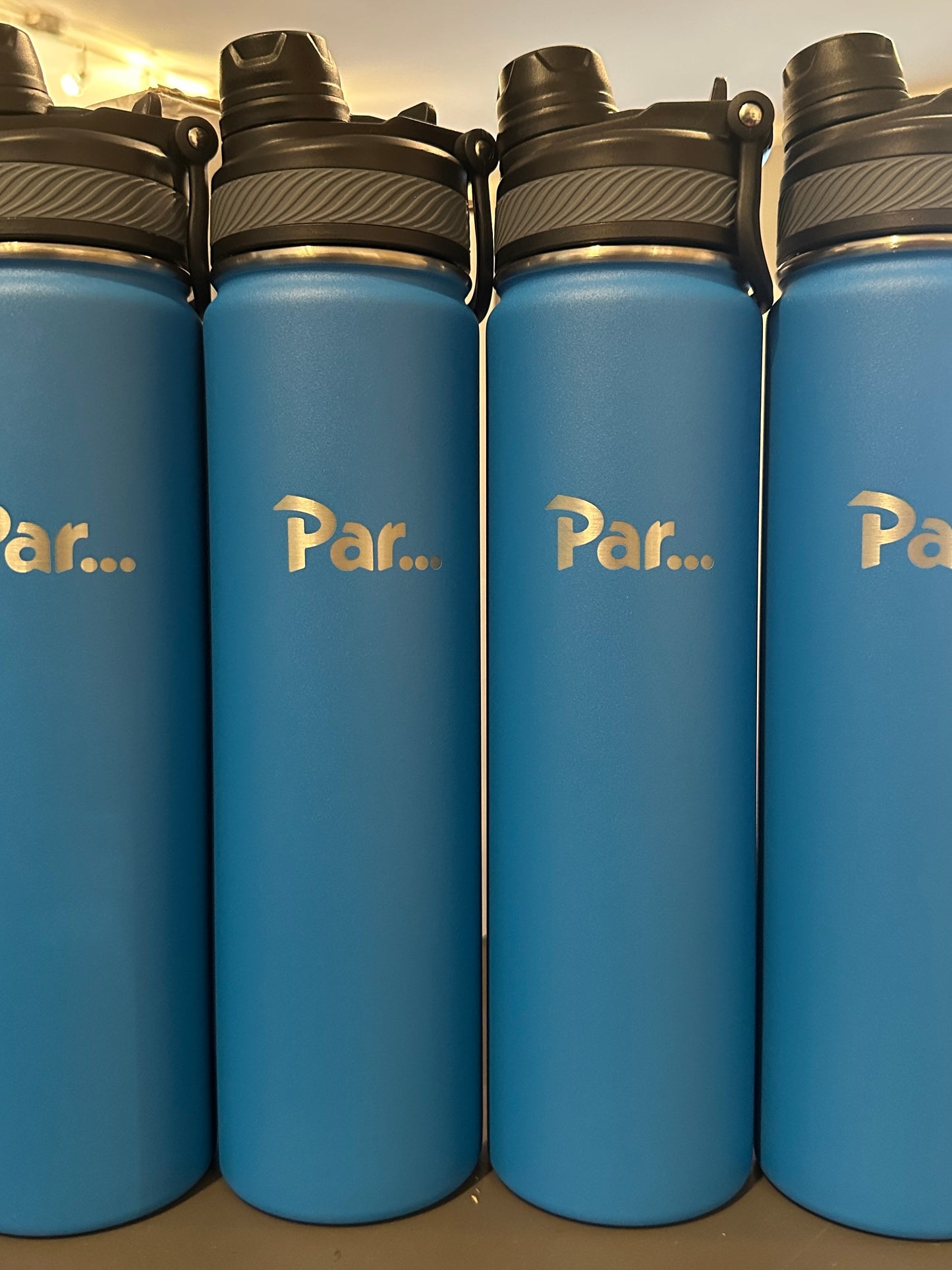 Par… Insulated Water Bottle