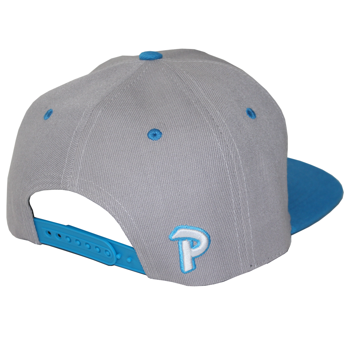 SNAP Snapback