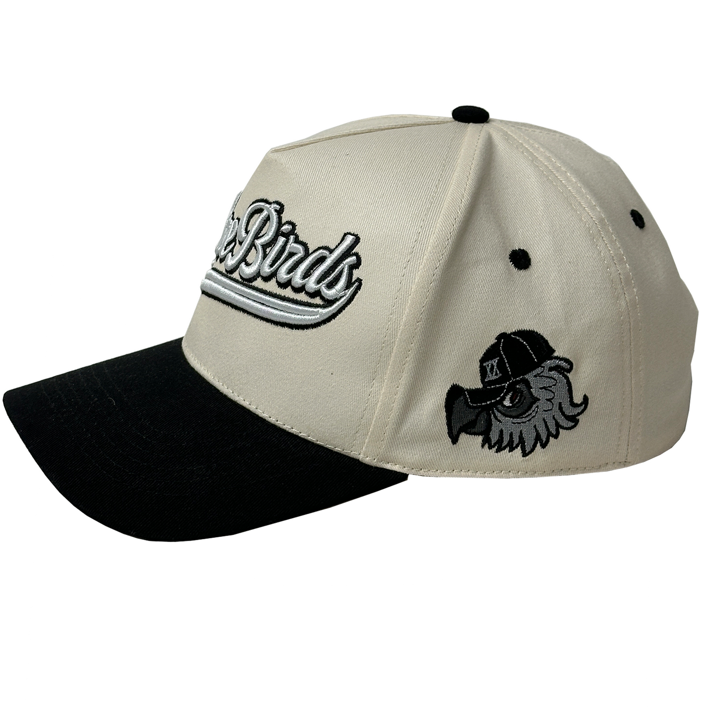 Rare Birds Snapback